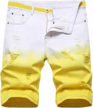 Enrica Men's Casual Printed Regular Fit Ripped Denim Shorts