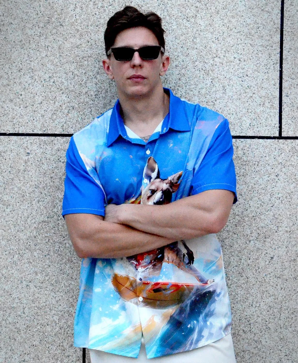 Men's Hawaiian Shirt Short Sleeve Funny Printed Casual Button Down Aloha Shirts